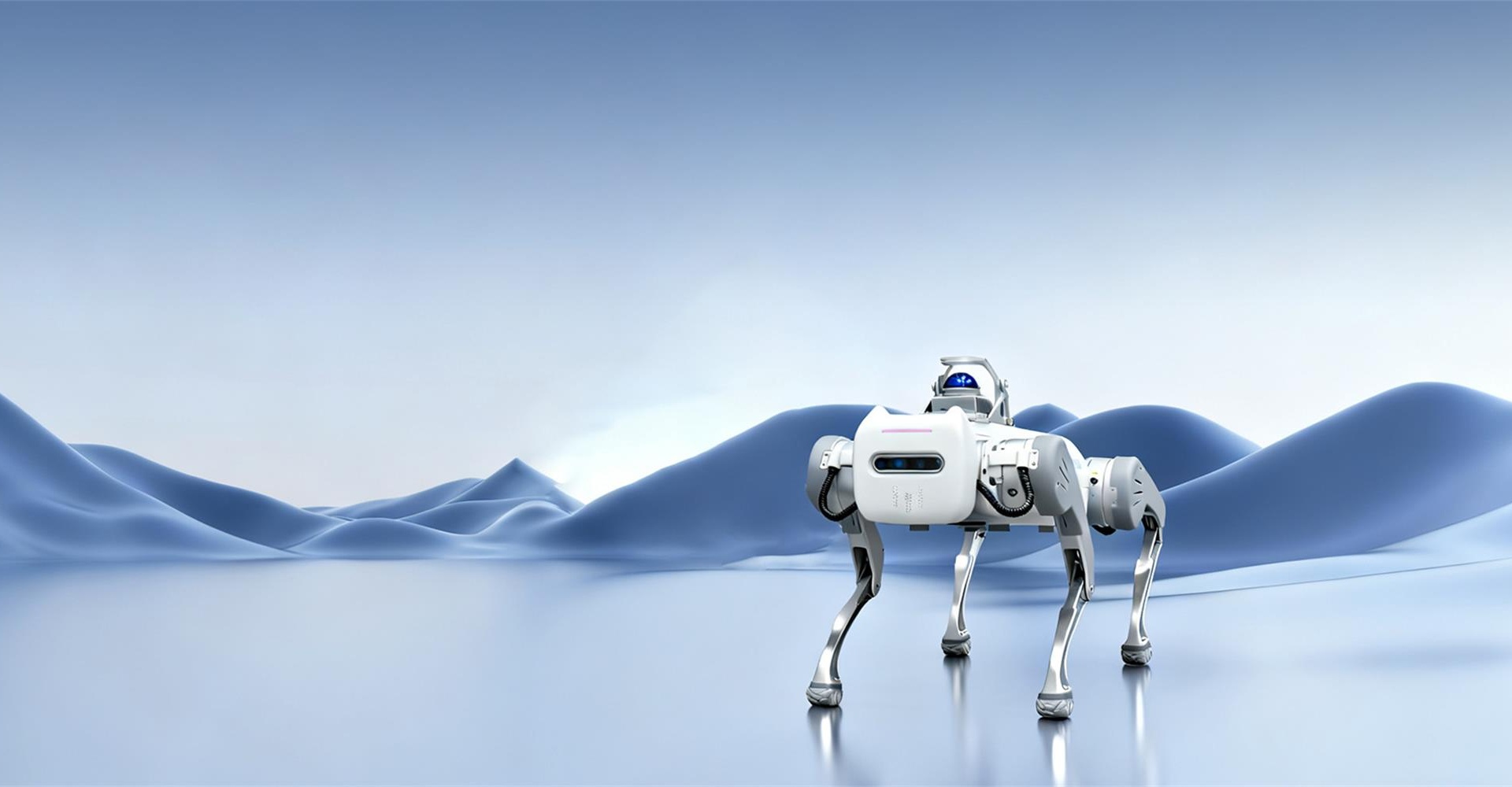 人类实用机器人引领者