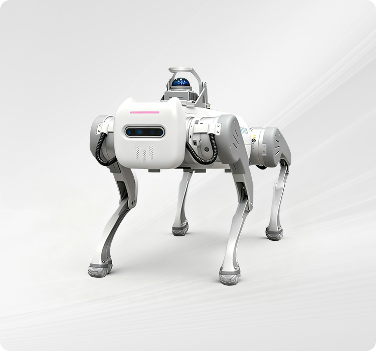 小型机器狗 QS01